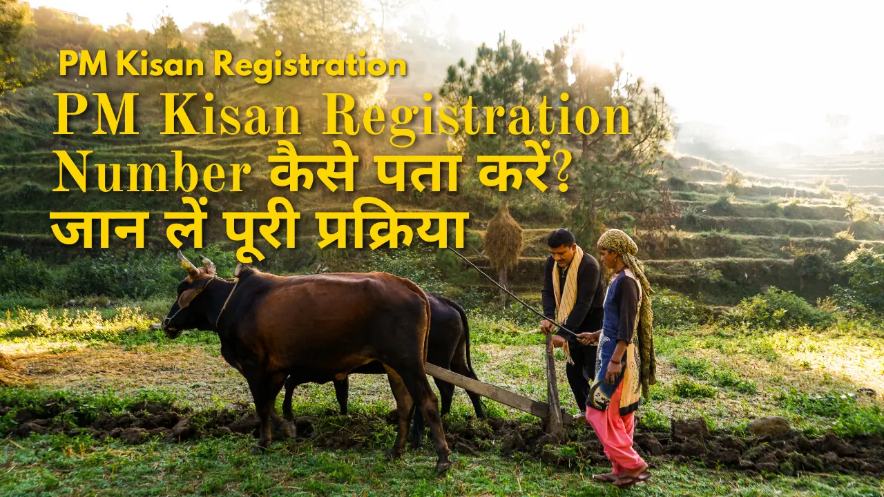 PM Kisan Registration Number कैसे पता करें? जान लें पूरी प्रक्रिया